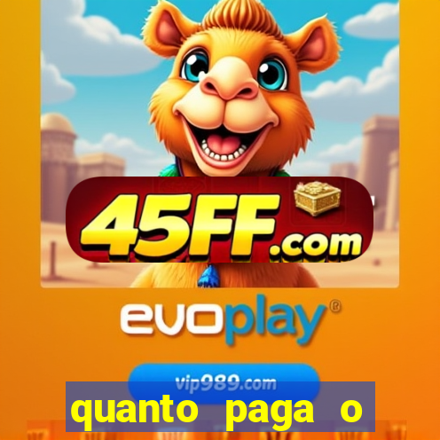 quanto paga o jungle fight